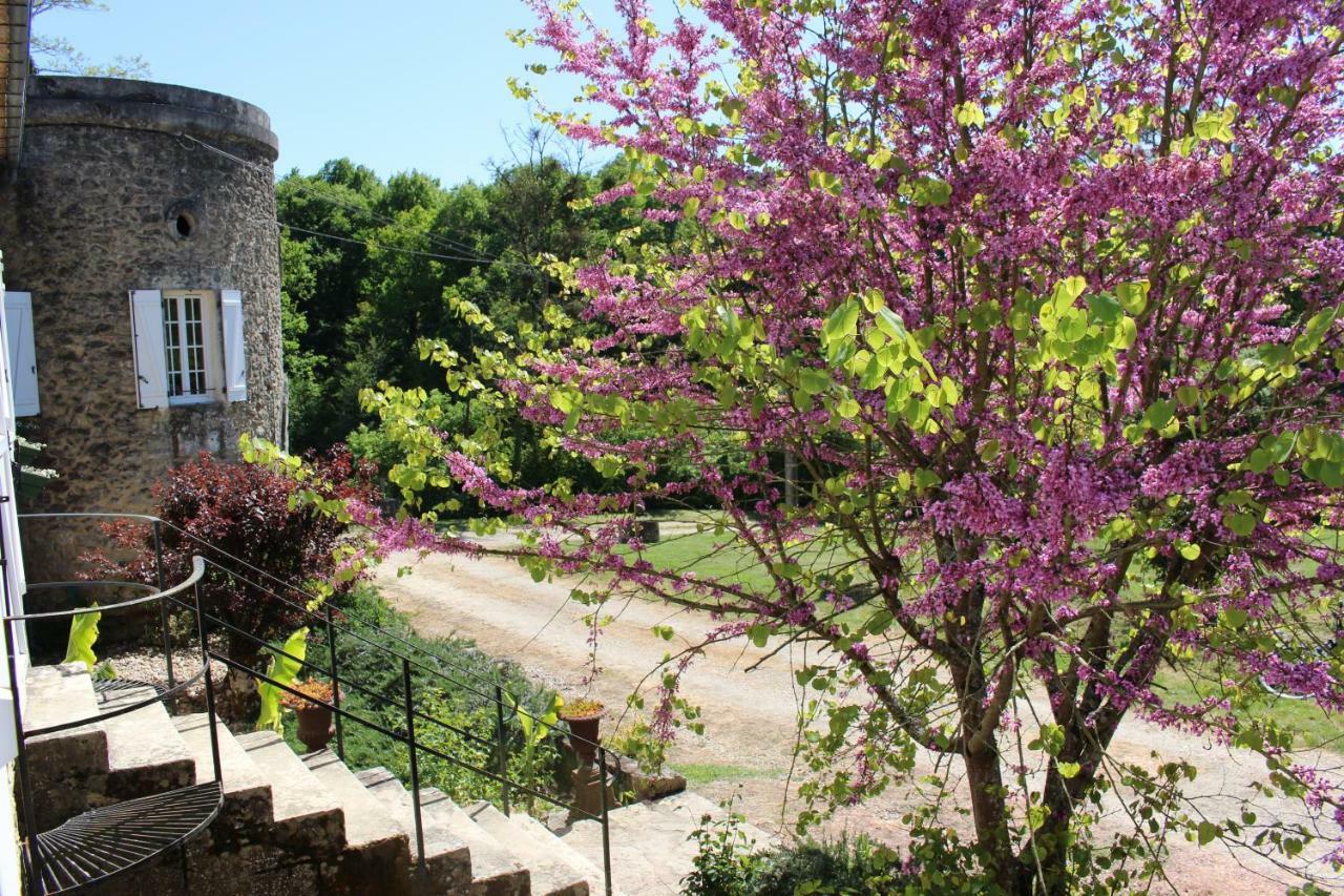 Ancien Haras De La Tour Bed & Breakfast Lamothe-Landerron Dış mekan fotoğraf